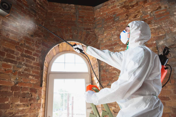 Best Mold Remediation for Healthcare Facilities in Montour Falls, NY